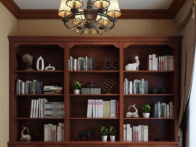 广州实木书柜定制厂家 家装定制书柜 简约现代整体书柜定制