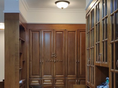 整体全屋定制纯实木原木书柜 桃花心书橱带玻璃门展示柜书房家具图4