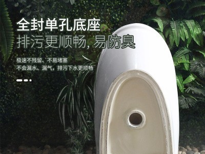 防冻裂马桶坐便器双层防臭普通坐便大管道大窝口连体单孔坐厕2365图2