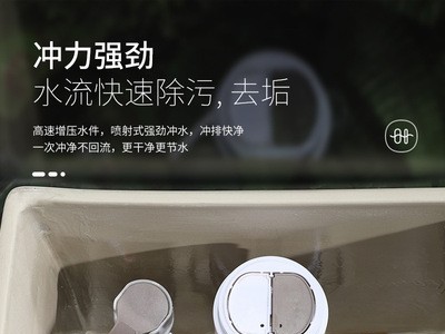 防冻裂马桶坐便器双层防臭普通坐便大管道大窝口连体单孔坐厕2365图4