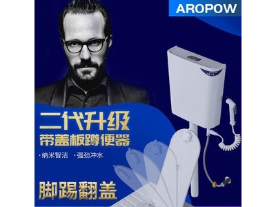 箭标王带盖板翻盖式陶瓷蹲便器冲水箱整套家用大便器蹲坑防臭蹲厕图3