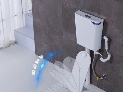 箭标王带盖板翻盖式陶瓷蹲便器冲水箱整套家用大便器蹲坑防臭蹲厕图2