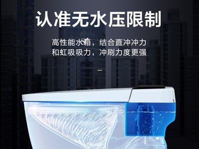 可供110V外贸智能马桶一体式全自动坐便器带水箱无水压限制厂家图3