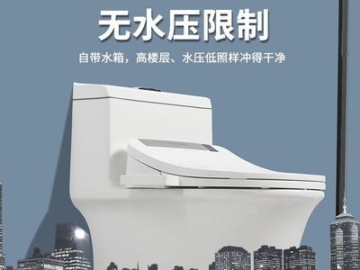 智能马桶带水箱遥控器无水压限制家用坐便器即热臀洗烘干厂家批发图3