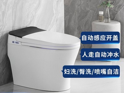 家用无水箱一体式全自动即热式智能马桶超漩式电动坐便器厂家批发图1