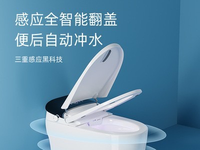 智能马桶批发后排家用全自动一体式多功能无水压限制小户型坐便器图4