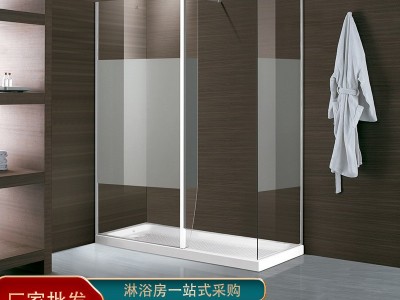 佛山生产品质淋浴房厂家直供无框淋浴房屏风简单风格非标家用定制图2