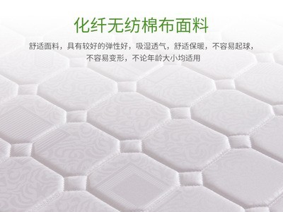 床垫1.8米山棕床垫1.5m床垫席梦思椰棕床垫海绵软硬两用弹簧床垫图4
