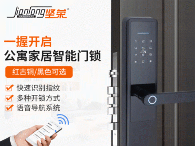 坚荣家用指纹密码锁超B级防盗防撬远程APP公寓民居智能管理门锁图2