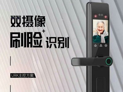 智能家居 多功能木门指纹电子门锁 掌纹人脸识别 刷卡感应 密码锁图2