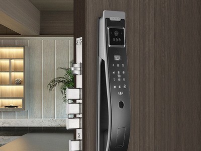 3D人脸识别指纹锁视频远程监控密码锁家用防盗门智能锁图5