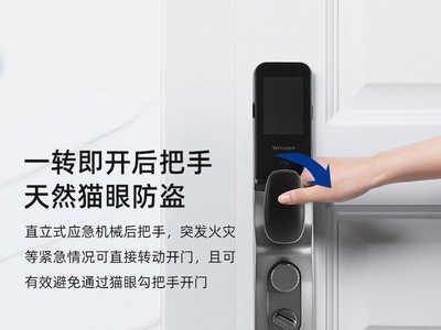 全自动人脸识别指纹锁家用防盗门电子密码门锁可视猫眼监控智能锁图3