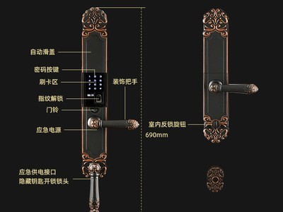 欧式电子密码锁家用入户门防盗门锁全自动升降滑盖防水智能指纹锁图4