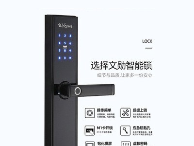 通通锁远程app指纹门锁 宾馆酒店ic卡锁公寓民宿智能锁TTLOCK管理图2
