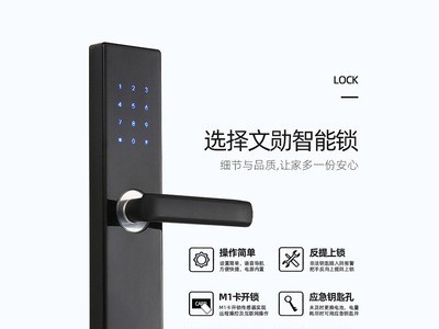 APP远程管理公寓智能门锁 家用防盗门密码锁酒店刷卡锁通通锁厂家图3