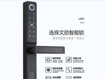 外贸断桥铝涂鸦智能门锁公寓指纹密码锁wifi远程窄边门指纹锁厂家图5