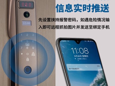3D人脸智能锁全自动智能锁可视猫眼指纹锁防盗门锁密码锁电子锁图5