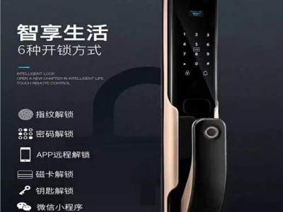 全自动指纹锁防盗门锁远程开锁智能锁木门多功能锁半导体锁高端锁价格面议图2