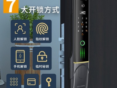 3D人脸识别智能锁 可视猫眼全自动智能门锁 家用防盗门指纹锁批发图2