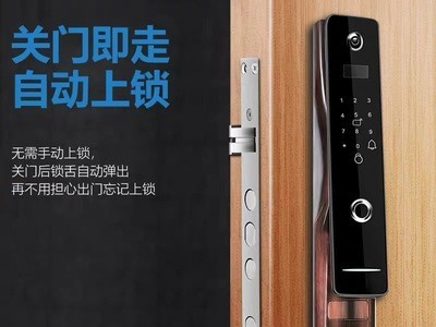 三汉全自动指纹密码锁猫眼指纹锁半导体家用防盗门智能锁远程开锁图3