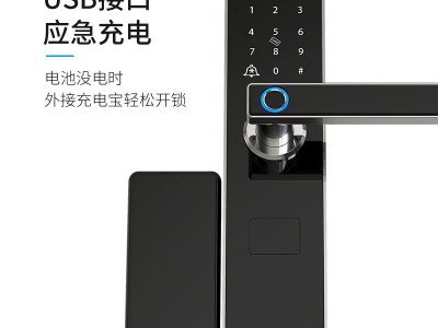 卡多利亚涂鸦通通锁防盗智能门锁密码电子家用智能锁指纹锁批发图3
