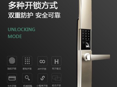 博希瑞智能门锁电子锁指纹锁自动下滑家用防盗别墅门源头厂家批发图3