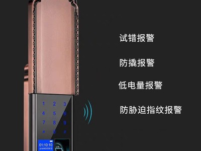全自动智能指纹锁家用电子锁别墅门防盗门自动下滑盖密码锁贴牌图3