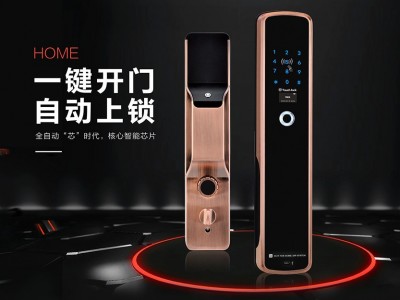 宏狮全自动指纹锁智能锁家用密码锁电子锁防盗门锁半导体指纹锁图2