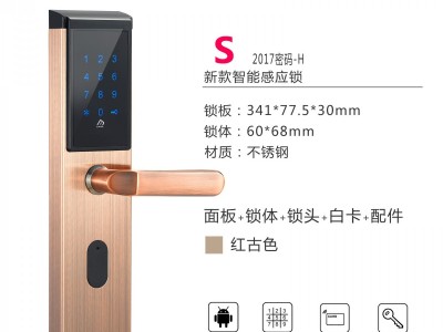 公寓智能锁APP远程发送时效密码防盗门密码锁民宿宾馆IC卡电子锁图2