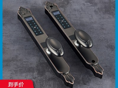 全自动庭院门指纹锁户外庭院指纹锁铝艺门防水别墅大门智能锁图2