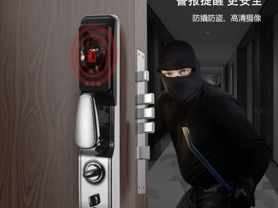 永定 智能锁全自动可视猫眼人脸识别安全防盗小蛮腰指纹智能门锁图2