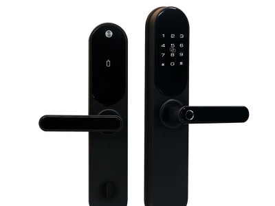 2021现代简约一握开指纹锁WIFI远程开锁公寓酒店安全智能锁批发图5