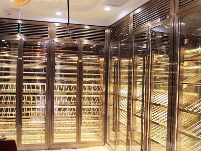厂家直供不锈钢酒柜恒温恒湿葡萄酒柜 现货批发地下酒窖嵌入式图4