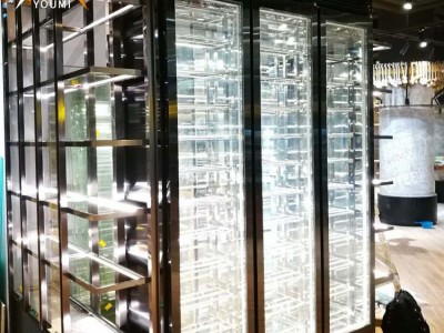 不锈钢酒柜恒温储藏简约双门玻璃白酒柜展柜定制酒窖酒架厂家直销图5