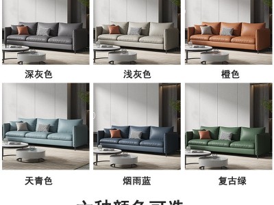 批发北欧科技布沙发小户型客厅简约双人三人位出租屋服装店小沙发图4