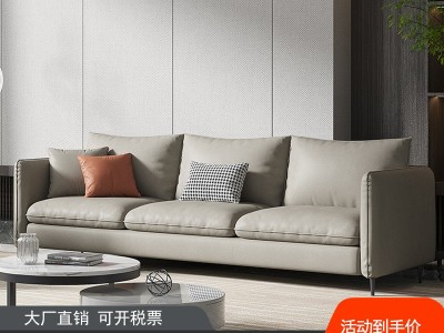 批发北欧科技布沙发小户型客厅简约双人三人位出租屋服装店小沙发图3