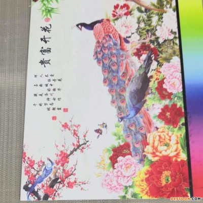 华宜家专业生产电视背景墙设备 茶几台面岗石转印机火热订购