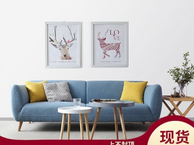 新款北欧布艺沙发小户型客厅整装棉麻简约现代日式三人沙发