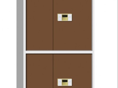 重庆钢制办公柜皮纹保密柜国宝锁财务资料保险柜文件柜档案柜