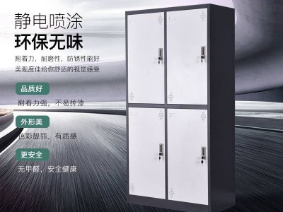 北京水上乐园钢制更衣柜 颜色尺寸可定制 带锁文件柜