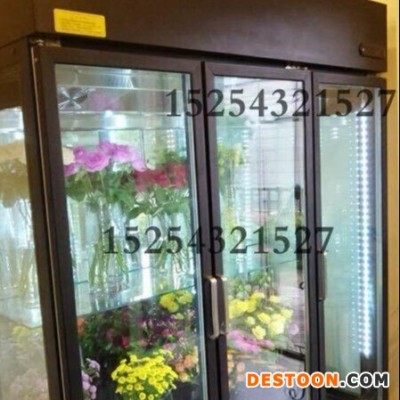 中意创展-河南漯河鲜花保鲜柜冷藏柜陈列立式展销展示柜风冷直冷定做冷柜
