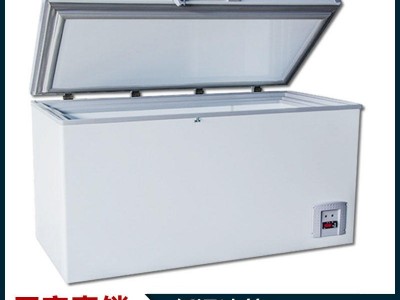 现货供应 冷藏柜 低温冰箱 冷藏机 超低温试验机 低温测试箱
