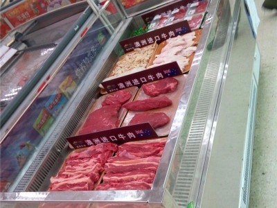 DOYOSL东洋商冷厂家供应 保鲜柜 价格 鲜肉冷冻柜价格性价比极高超市保鲜柜 卧室冷藏柜 节能省电性能稳定