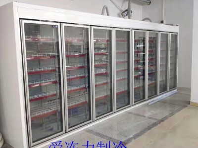 爱冻力饮料冷藏柜 超市风幕柜 蔬菜水果保鲜柜