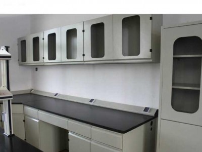 禄米实验室厂家定制 全钢吊柜 储物柜 挂柜 品质保证LUMI-DG22