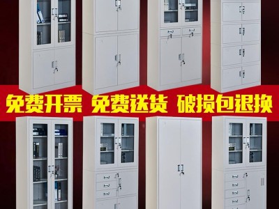 成都加厚文件柜铁皮柜资料柜财务凭证柜更衣柜电子保密柜碗柜储物