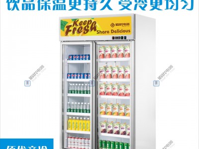 双门冷藏冰柜，立式冷冻冰箱，商用饮料冷藏柜