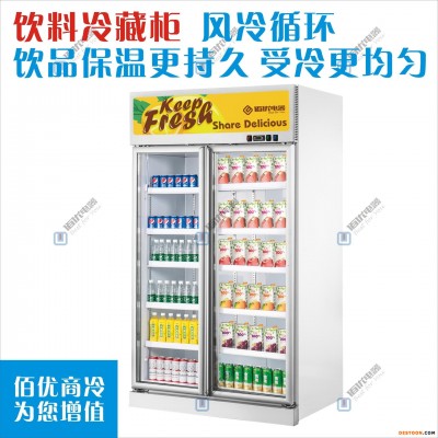 双门冷藏冰柜，立式冷冻冰箱，商用饮料冷藏柜