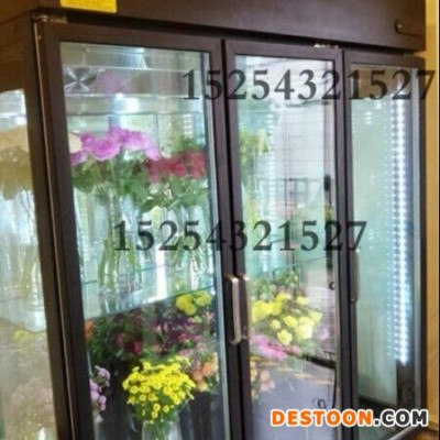 中意创展-湖南娄底花店双门三门专用鲜花保鲜展示柜立式花柜商用风冷直冷鲜花冷藏柜