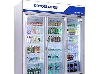 DOYOSL东洋商冷厂家供应广州冷柜冰柜直销便利店饮料保鲜柜 超市冷藏柜厂家BC-2200B3V 保鲜冷藏展示柜冷柜厂